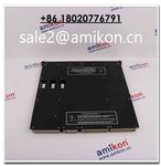 TRICONEX 9662-110 | sales2@amikon.cn | Large In Stock